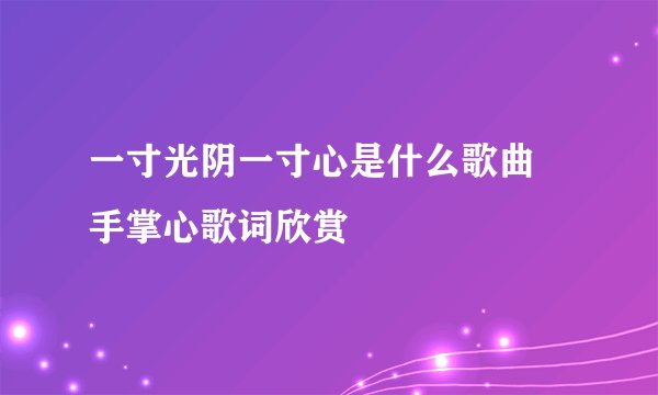 一寸光阴一寸心是什么歌曲 手掌心歌词欣赏