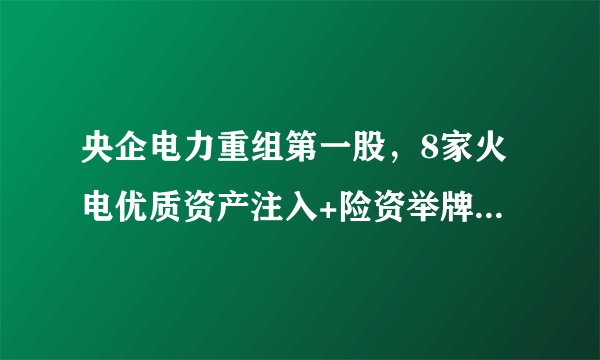 央企电力重组第一股，8家火电优质资产注入+险资举牌+召开审核大会，停牌在即！
