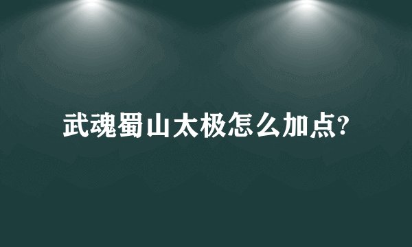 武魂蜀山太极怎么加点?