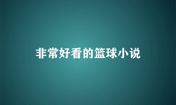 非常好看的篮球小说