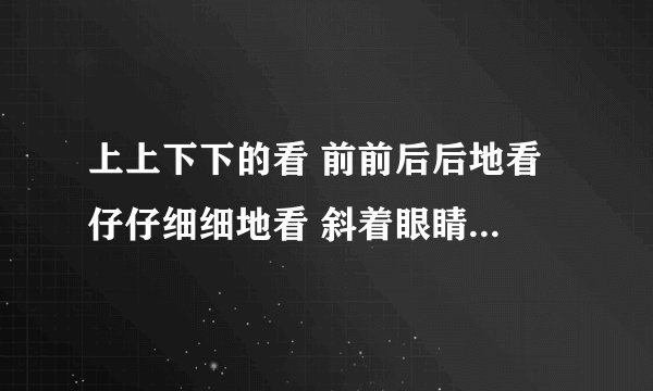 上上下下的看 前前后后地看 仔仔细细地看 斜着眼睛看 都是什么