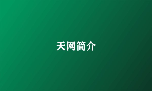 天网简介