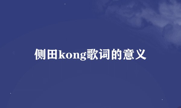 侧田kong歌词的意义