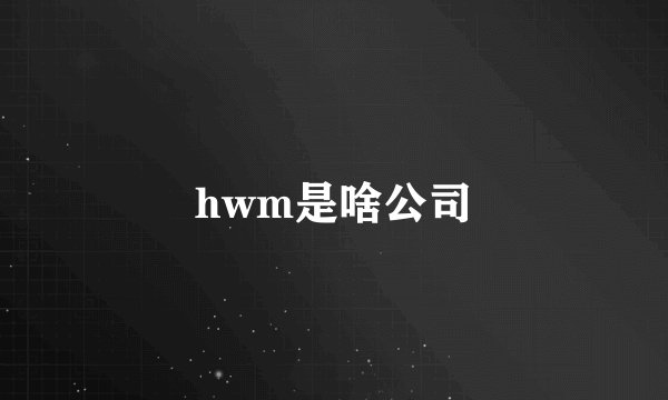 hwm是啥公司