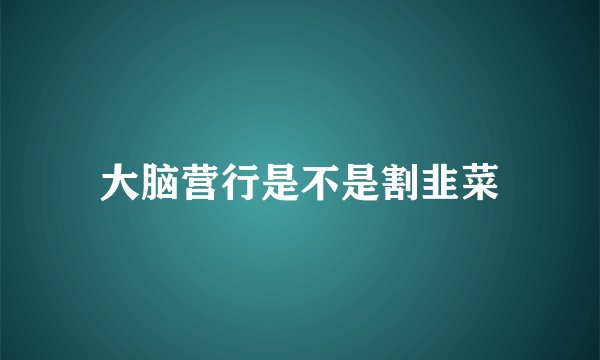 大脑营行是不是割韭菜