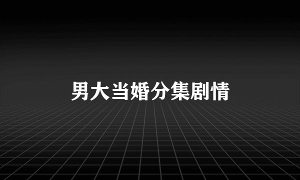 男大当婚分集剧情