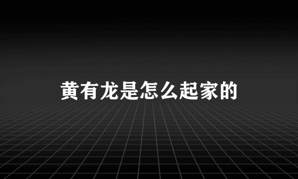 黄有龙是怎么起家的