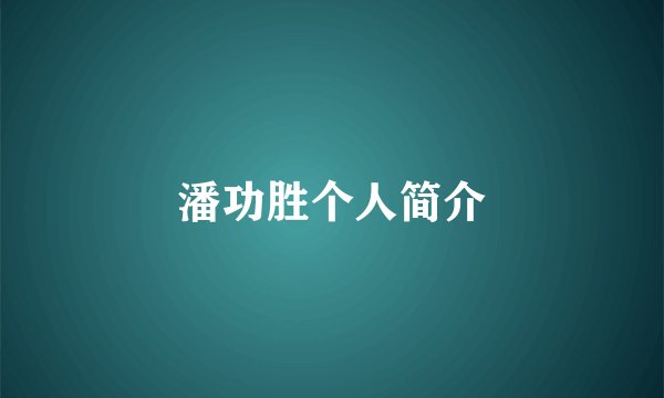 潘功胜个人简介