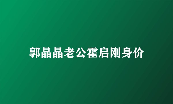 郭晶晶老公霍启刚身价
