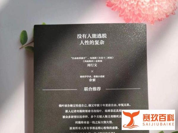 初入职场女记者,不知反抗的乖乖女,如何被上司和同事盘剥