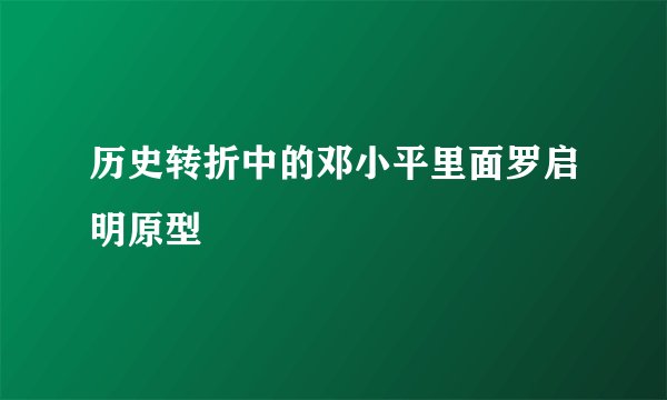 历史转折中的邓小平里面罗启明原型