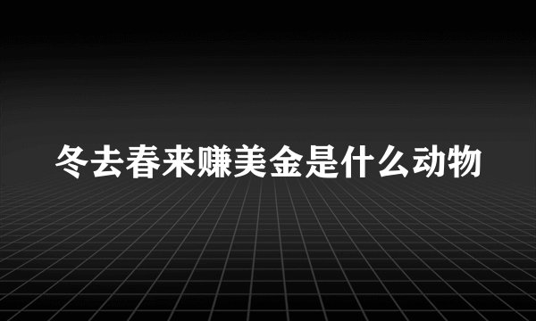 冬去春来赚美金是什么动物