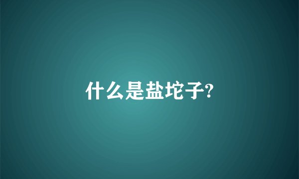 什么是盐坨子?