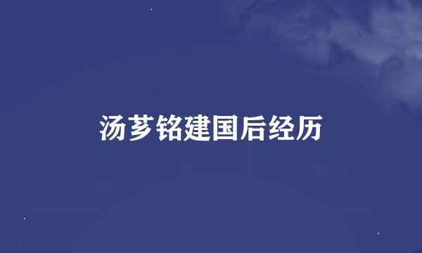 汤芗铭建国后经历