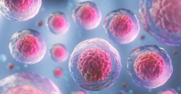 人气排名前十的日本干细胞医院