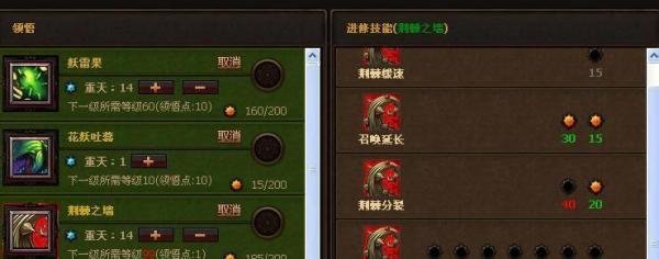 斗战神果子狸加点