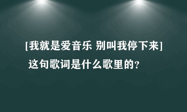 [我就是爱音乐 别叫我停下来] 这句歌词是什么歌里的？