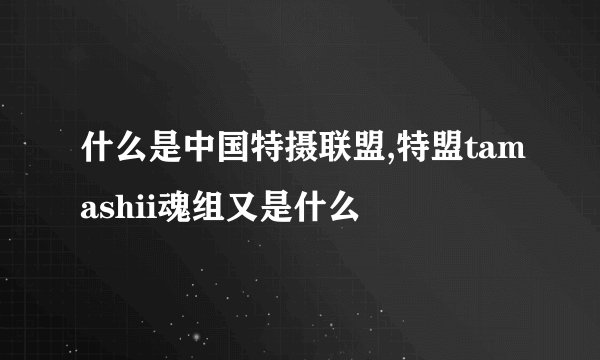 什么是中国特摄联盟,特盟tamashii魂组又是什么