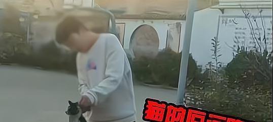 教育局回应高中男生摔猫踢猫 这是咋情况？