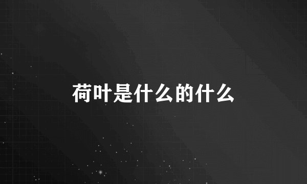 荷叶是什么的什么
