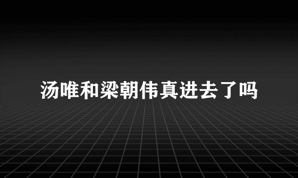汤唯和梁朝伟真进去了吗