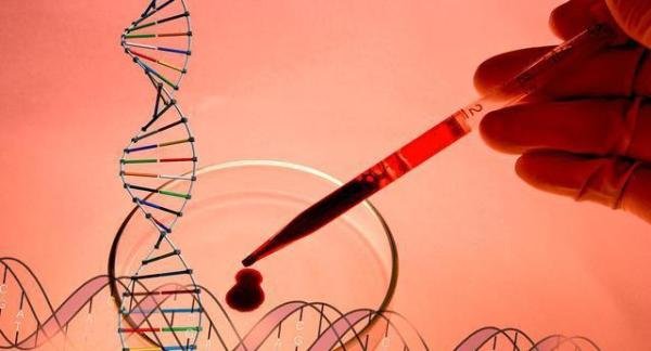 北京2人核检分别阳性和单基因阳性 这是咋情况？