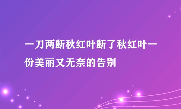 一刀两断秋红叶断了秋红叶一份美丽又无奈的告别