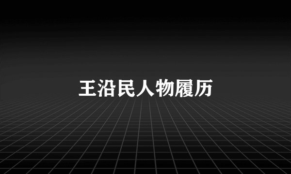 王沿民人物履历