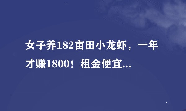 女子养182亩田小龙虾，一年才赚1800！租金便宜到网友都坐不住！