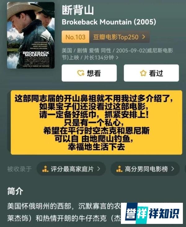 小众基片/六部高分绝美少年感电影分享