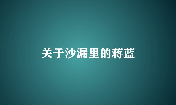 关于沙漏里的蒋蓝