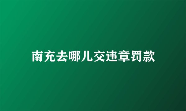 南充去哪儿交违章罚款