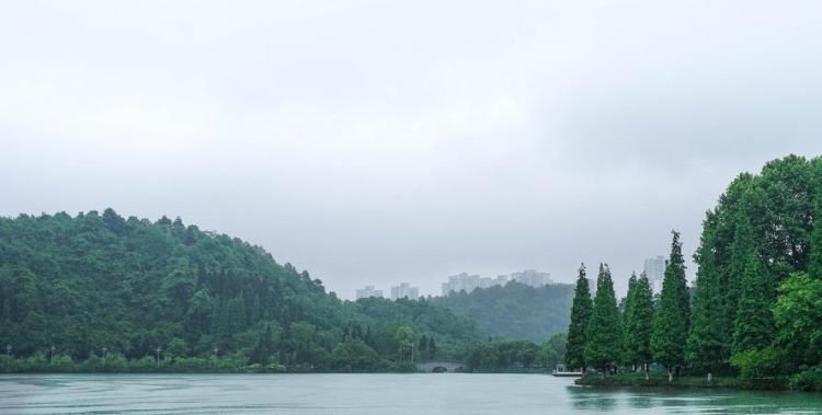 一湖金水欲溶秋的意思，一壶金水欲溶秋的意思
