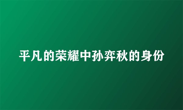 平凡的荣耀中孙弈秋的身份