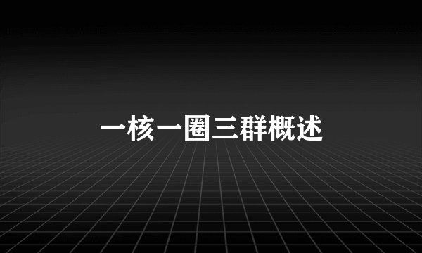 一核一圈三群概述