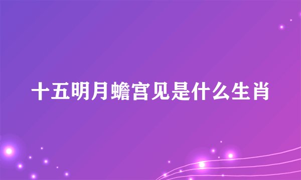 十五明月蟾宫见是什么生肖