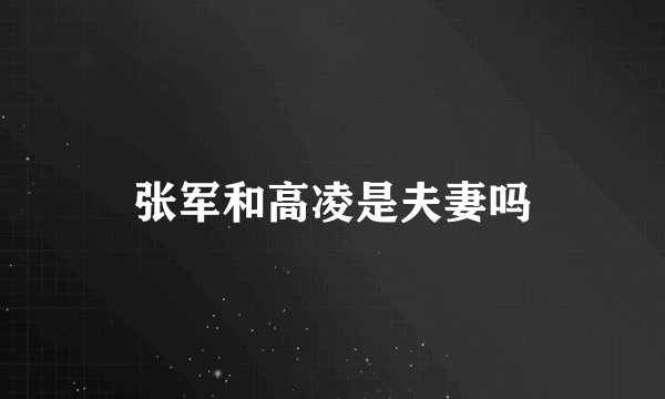 张军和高凌是夫妻吗