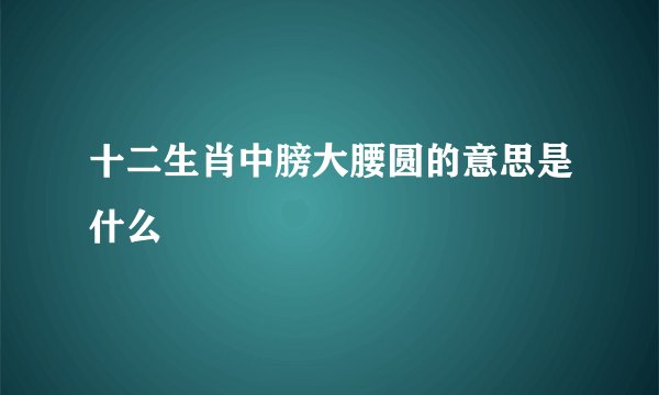 十二生肖中膀大腰圆的意思是什么