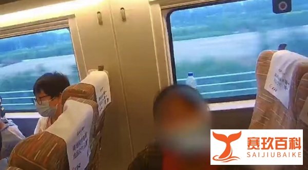 如何看待妇产科主任拐骗儿童婴儿乘高铁，邻座察觉报警？