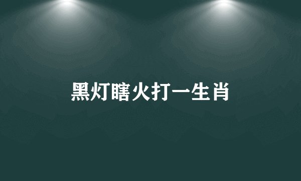 黑灯瞎火打一生肖