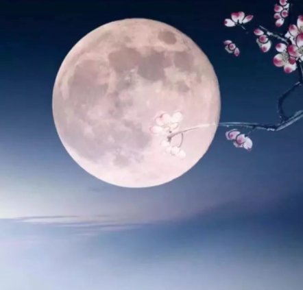 “阴晴圆缺都休说，且喜人间好时节”是什么意思？