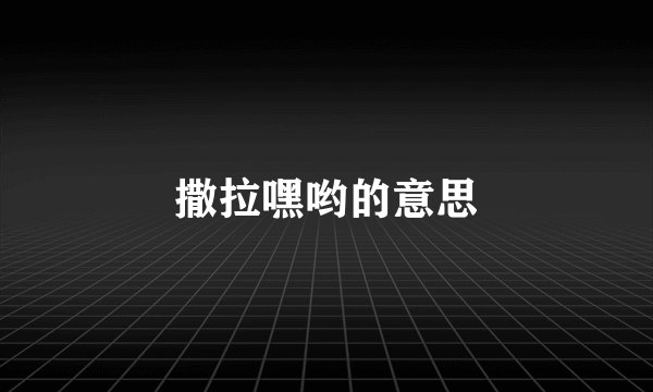 撒拉嘿哟的意思