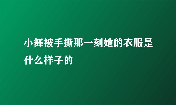 小舞被手撕那一刻她的衣服是什么样子的