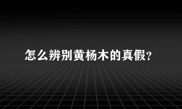 怎么辨别黄杨木的真假？