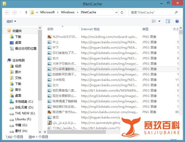 如何提取IE缓存文件