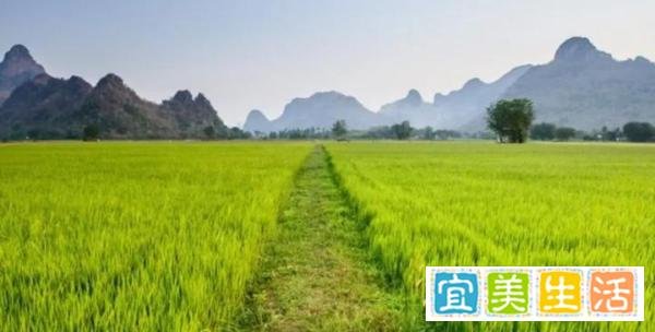“最怕立冬是晴天”,今天立冬,晴天有啥预兆?看老人咋说