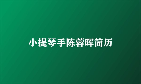 小提琴手陈蓉晖简历