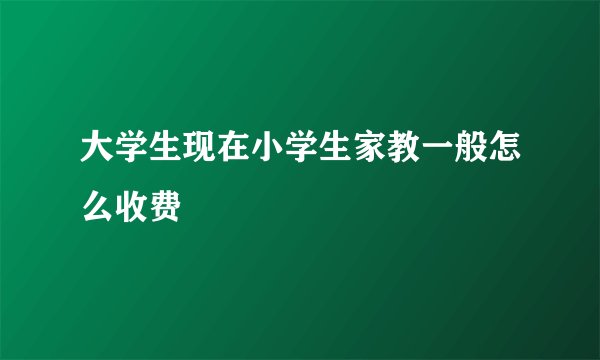 大学生现在小学生家教一般怎么收费