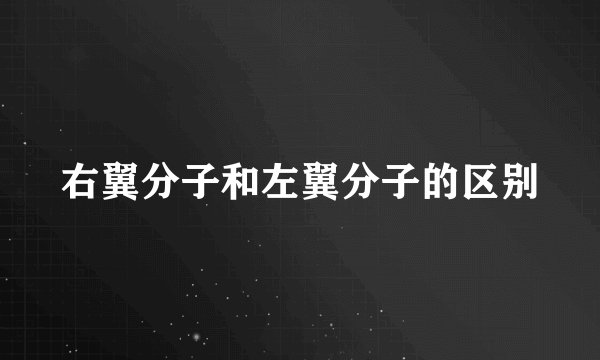 右翼分子和左翼分子的区别