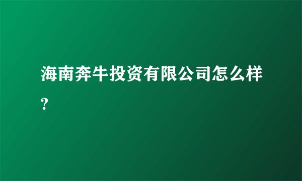 海南奔牛投资有限公司怎么样?
